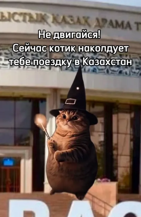 Котик колдует поездку в Казахстан