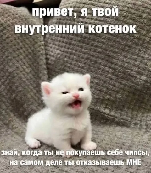 Внутренний котёнок просит чипсы