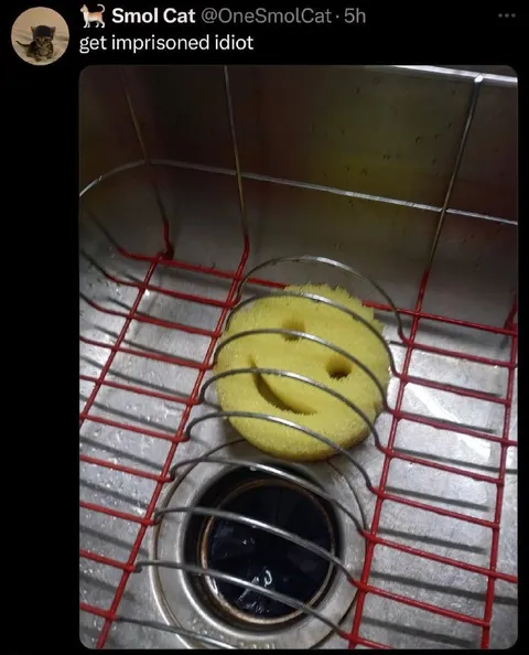 Get Imprisoned Idiot Cat