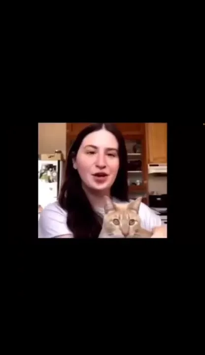 Deus Vult Cat Chant