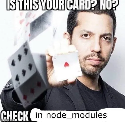Check in node_modules