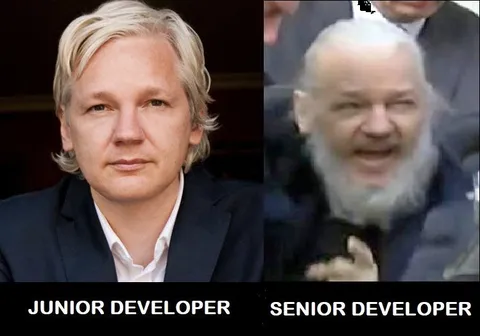 Junior Developer vs Senior Developer