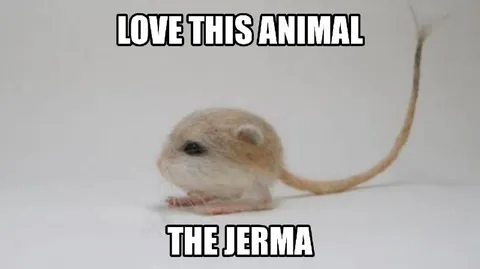 Love This Animal The Jerma