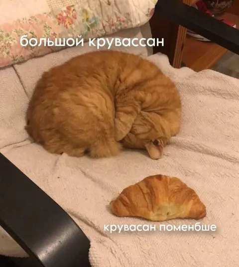 Большой круассан и круассан поменьше
