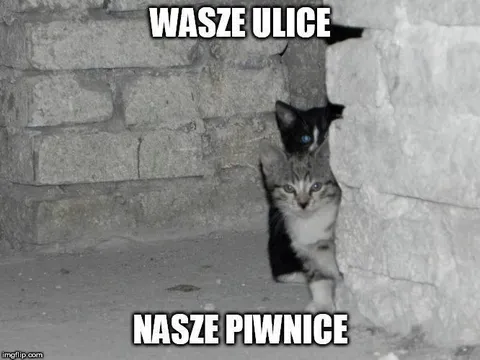 Wasze ulice, nasze piwnice
