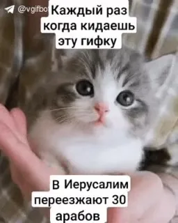 Когда кидаешь эту гифку