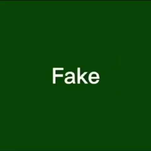 Fake vs Reality Cat Reaction