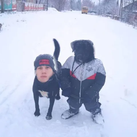 Dog and Man in the Snow