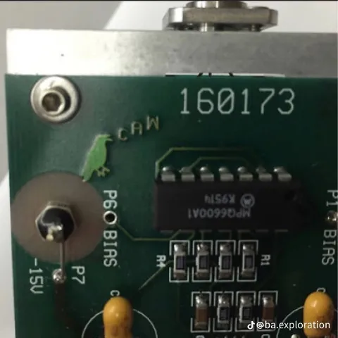 Frog on a Circuit Board
