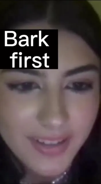 Boobs, Bark First