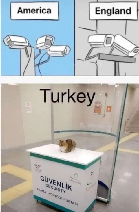 Turkey Security Cat
