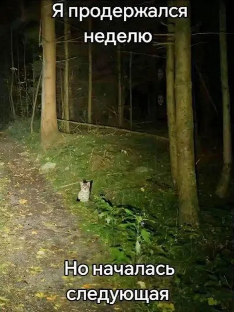 Я продержался неделю