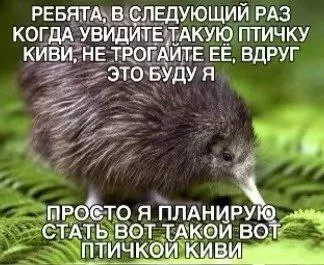 Птичка киви в будущем