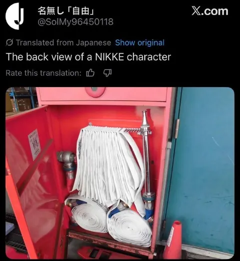 Back View of a NIKKE Character