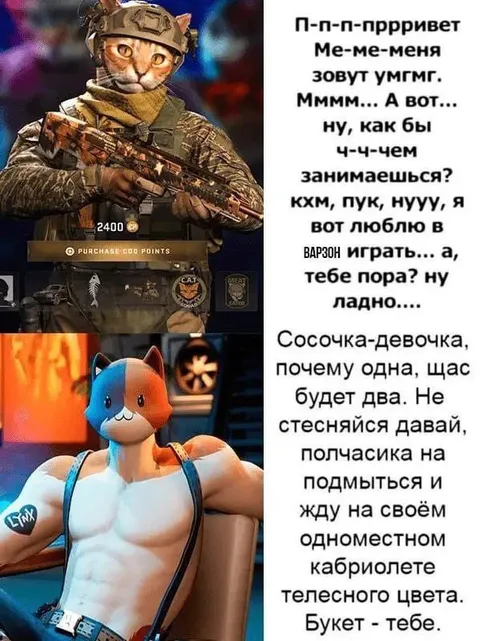 Кот-военный зовёт на свидание