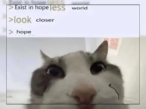 Exist in a Hopeless World