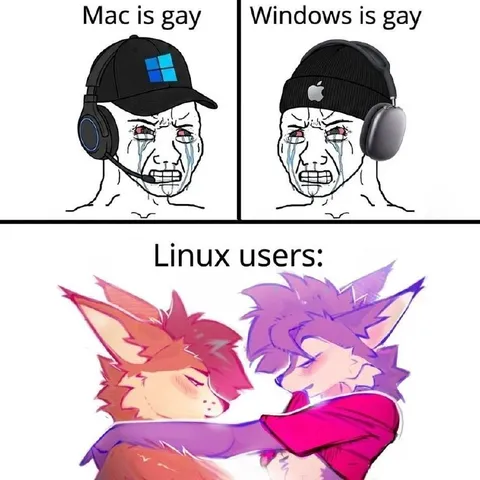 Linux Users Enjoy the Competition