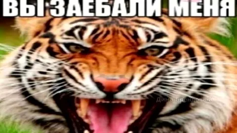 Спокойной ночи, Волгоград