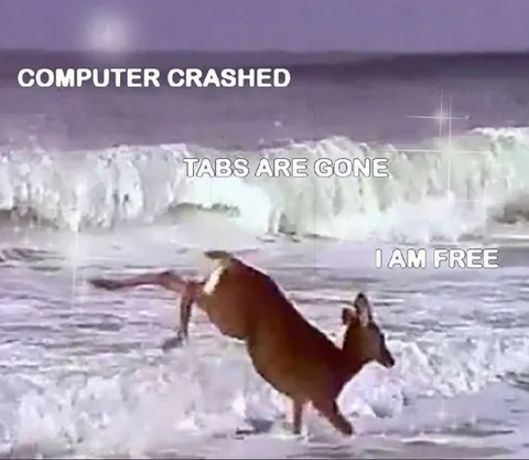 Computer Crashed, I Am Free