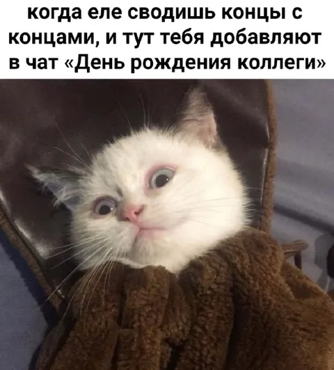 Когда добавили в чат коллеги