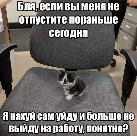 Кот увольняется с работы