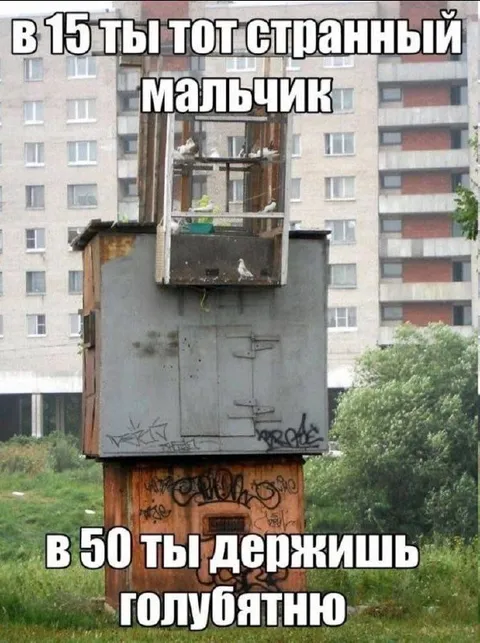 Странный мальчик с голубятней