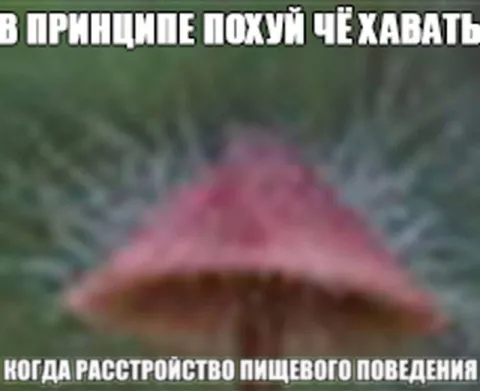 Похуй чё хавать