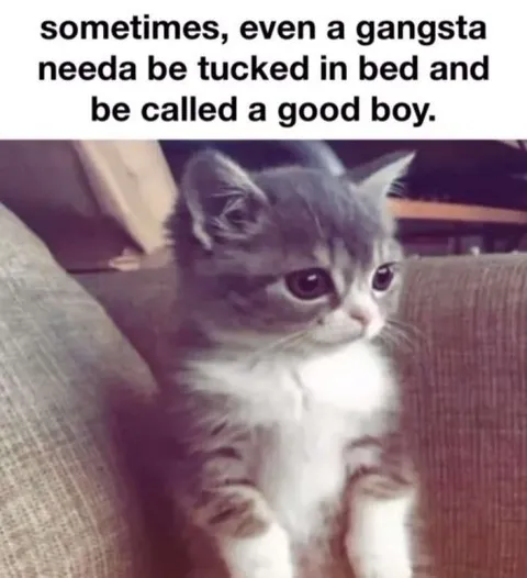 Gangsta Kitten Needs Tucking In