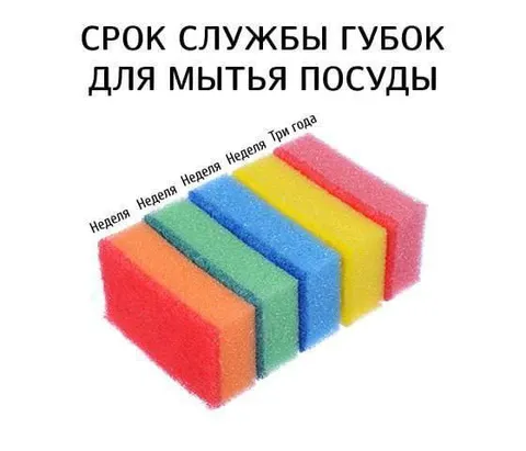 Срок службы губок для посуды