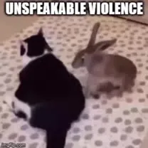 Rabbit Commits Unspeakable Violence