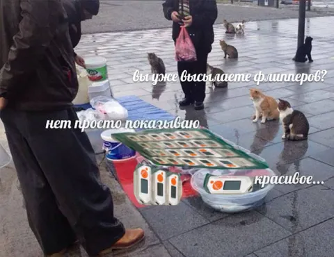 Красивое просто показываю