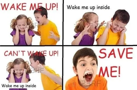 Wake Me Up Inside Save Me