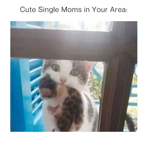 Cute Single Moms in Your Area