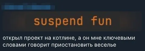 Котлин приостанавливает веселье