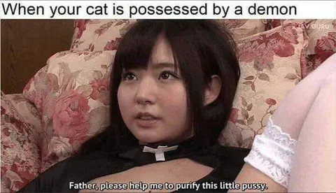 Cat Possessed by a Demon