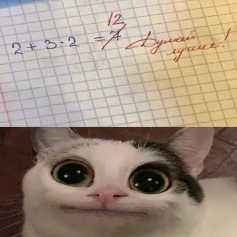 Кот перепроверяет пример