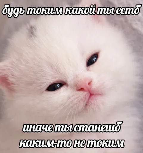 Будь таким, какой ты есть