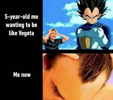 Five-Year-Old Me Wanted Vegeta