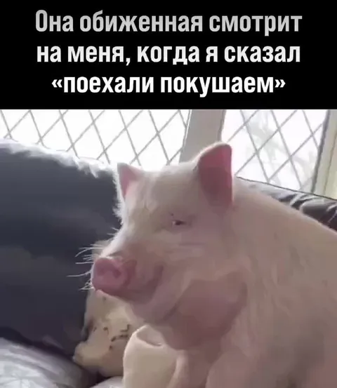 Поехали покушаем