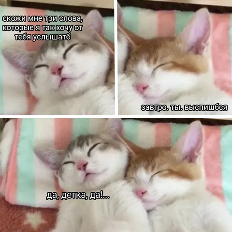 Три заветных слова