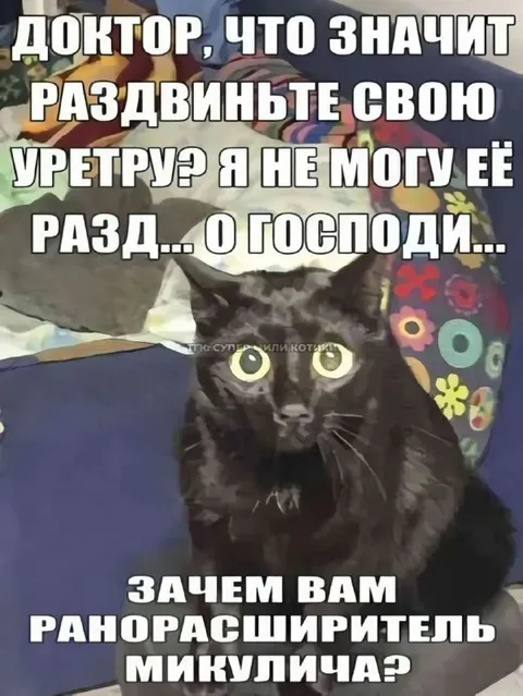 Кот и ранорaсширитель Микулича