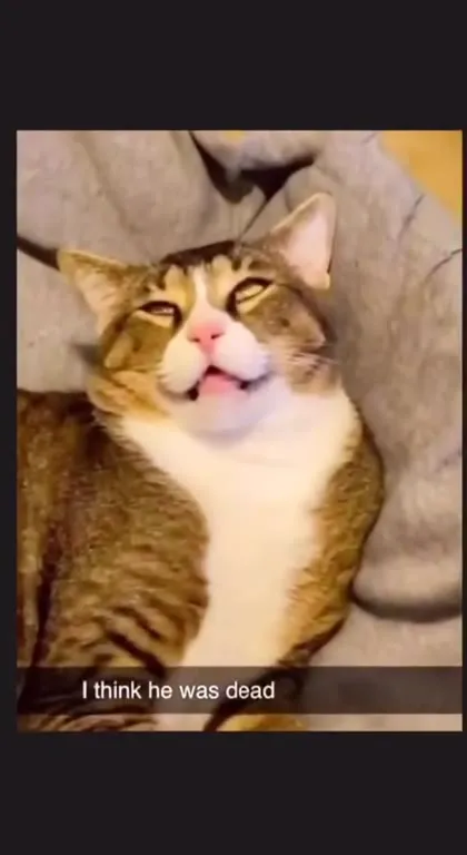 I Think He Was Dead