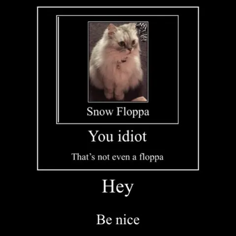 Snow Floppa Cat Correction