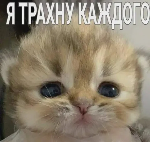 Я трахну каждого
