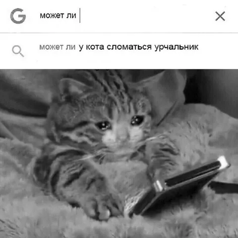 У кота сломался урчальник