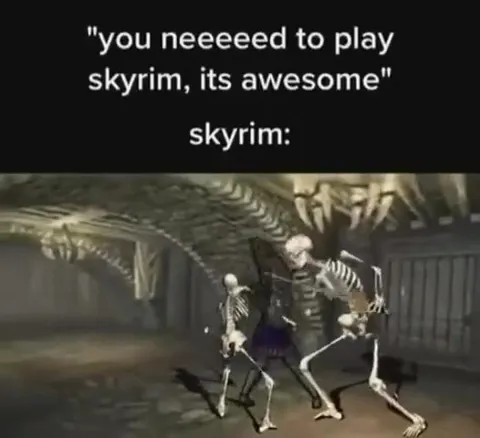 Skyrim Is Awesome They Said