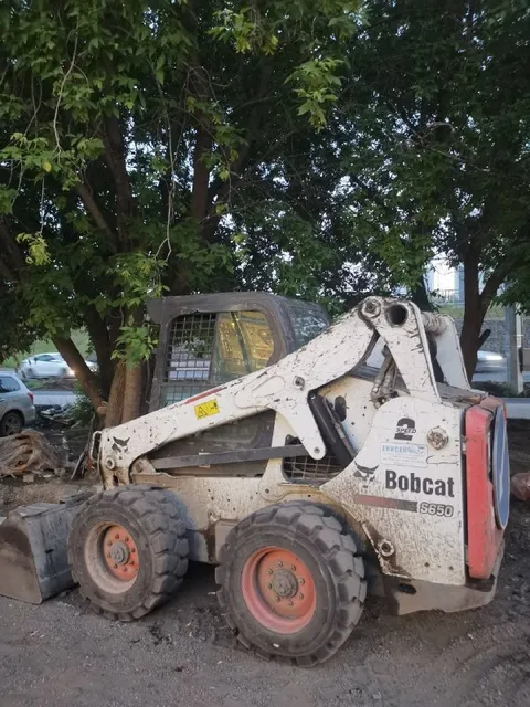 Отдыхающий Bobcat