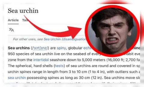 Sea Urchin Disgust Reaction