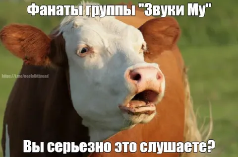Фанаты группы «Звуки Му»