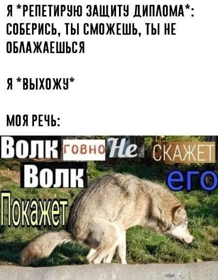 Речь на защите диплома
